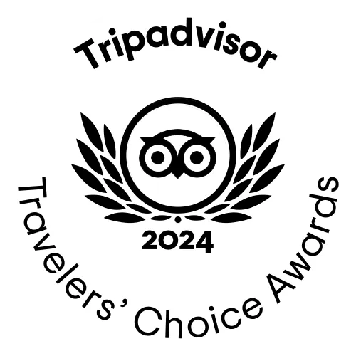 Trip Advisor 2024